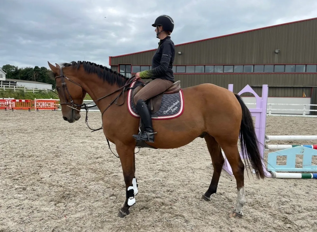 ***Full Livery Vacancy Available*** - Image 3