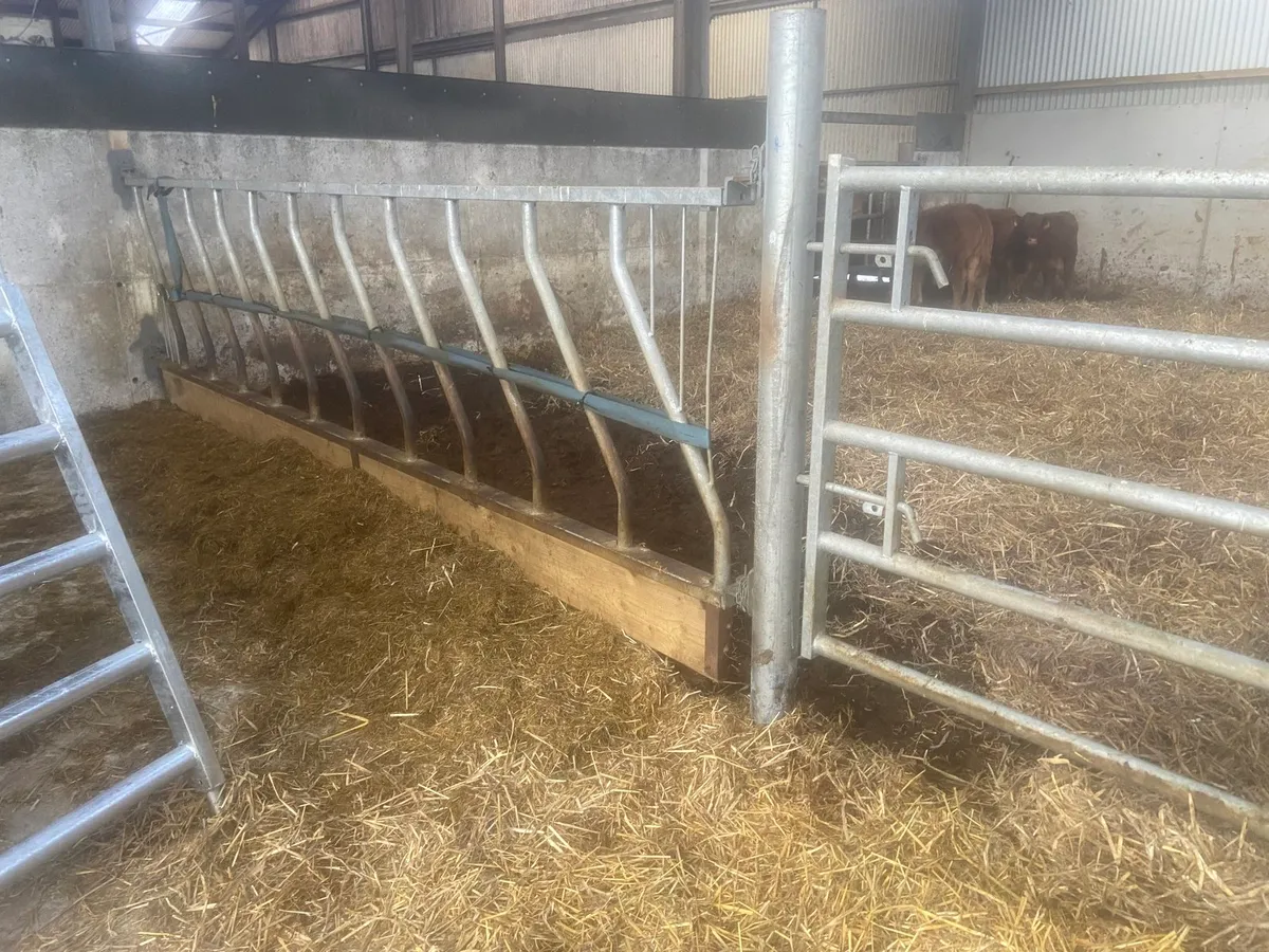 Heavy duty, feeding barriers and extendable gates - Image 4