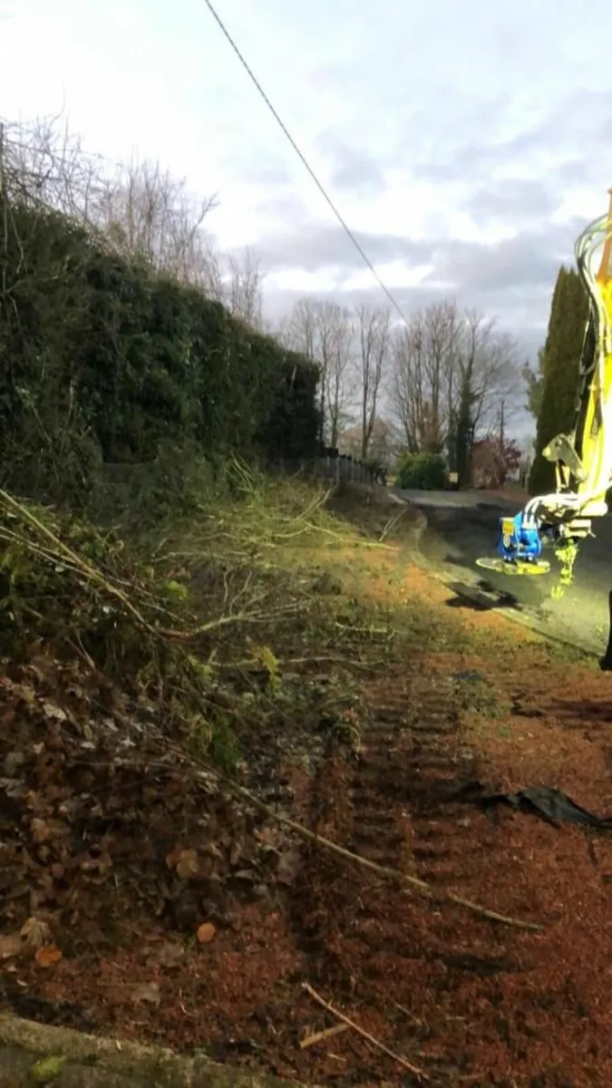 Slanetrac Saw Head - Image 2