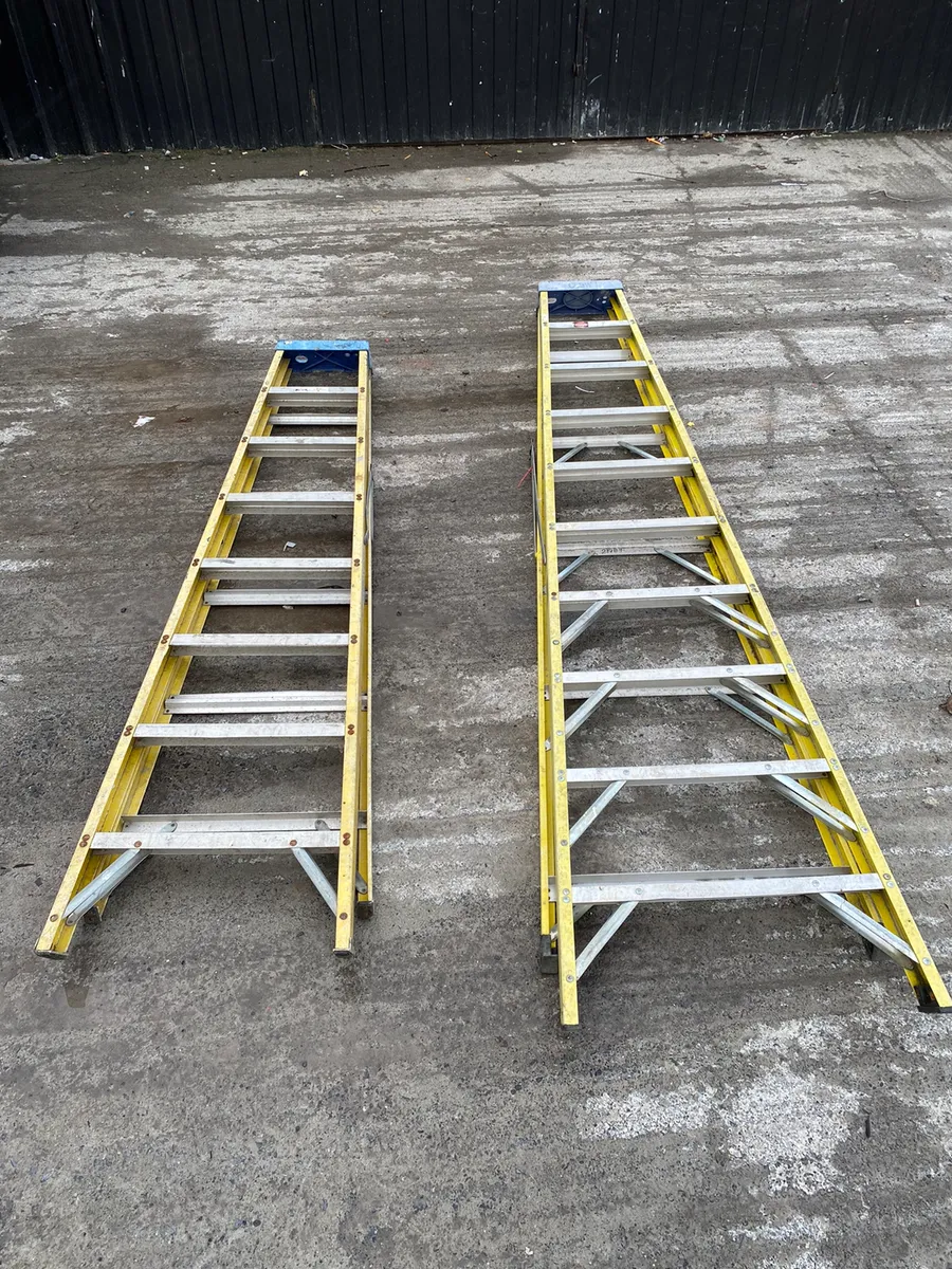 Choice of 2 Step Ladders - Image 1