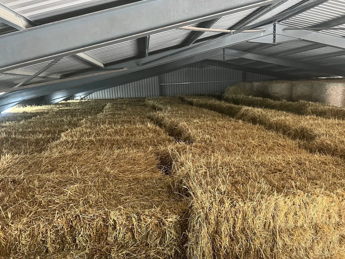 Top Class Hay and straw for sale - Image 2