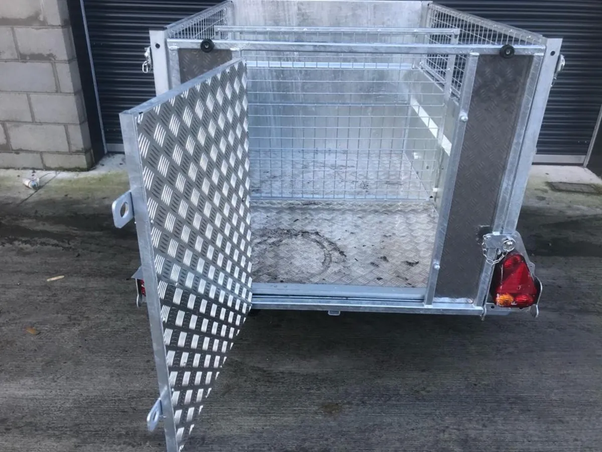 AVAILABLE NOW New Ifor Williams Q5e Quad Trailer - Image 4