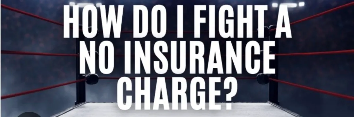 ‼️ No Fence!!!! NO INSURANCE ‼️ - Image 2