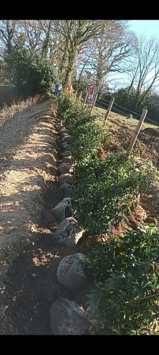 Full garden maintenance - Image 4