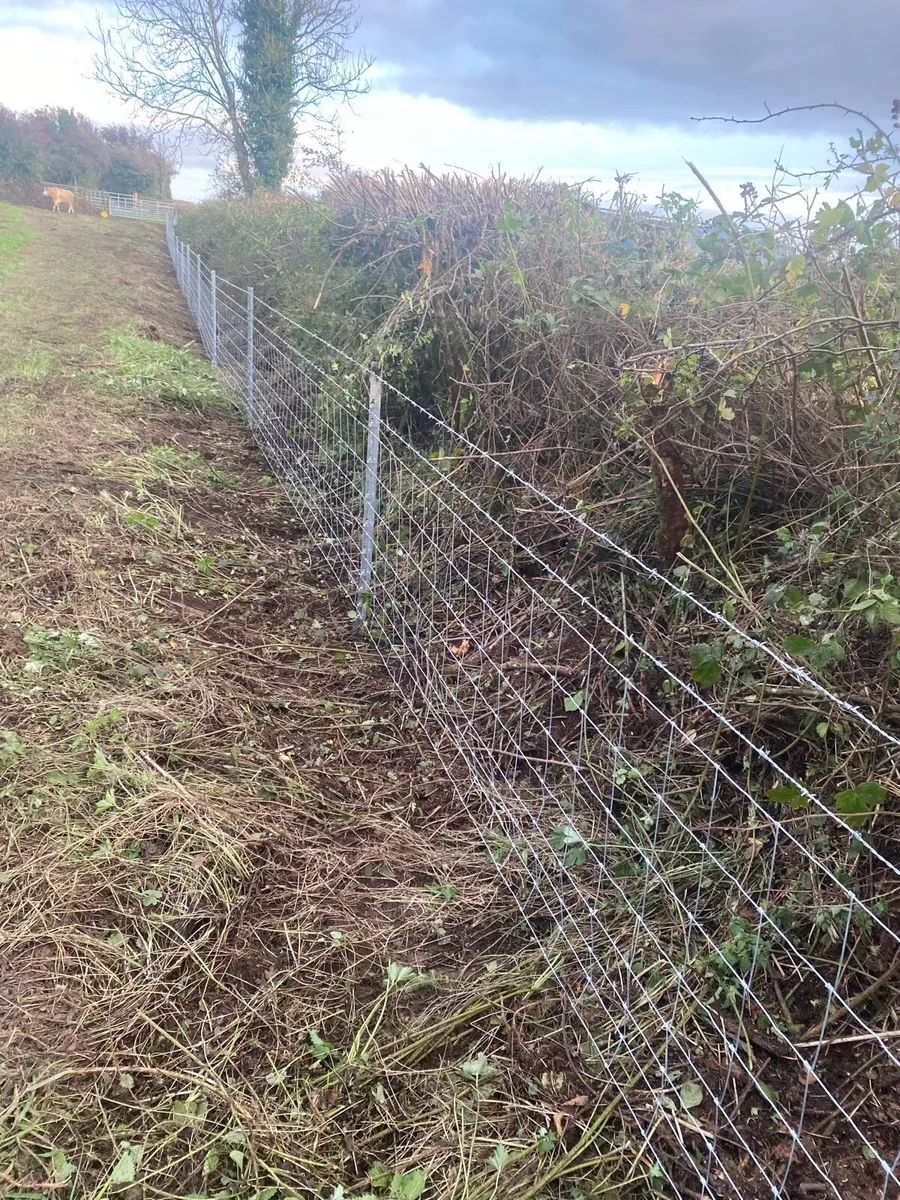 Clipex Fencing - Image 1