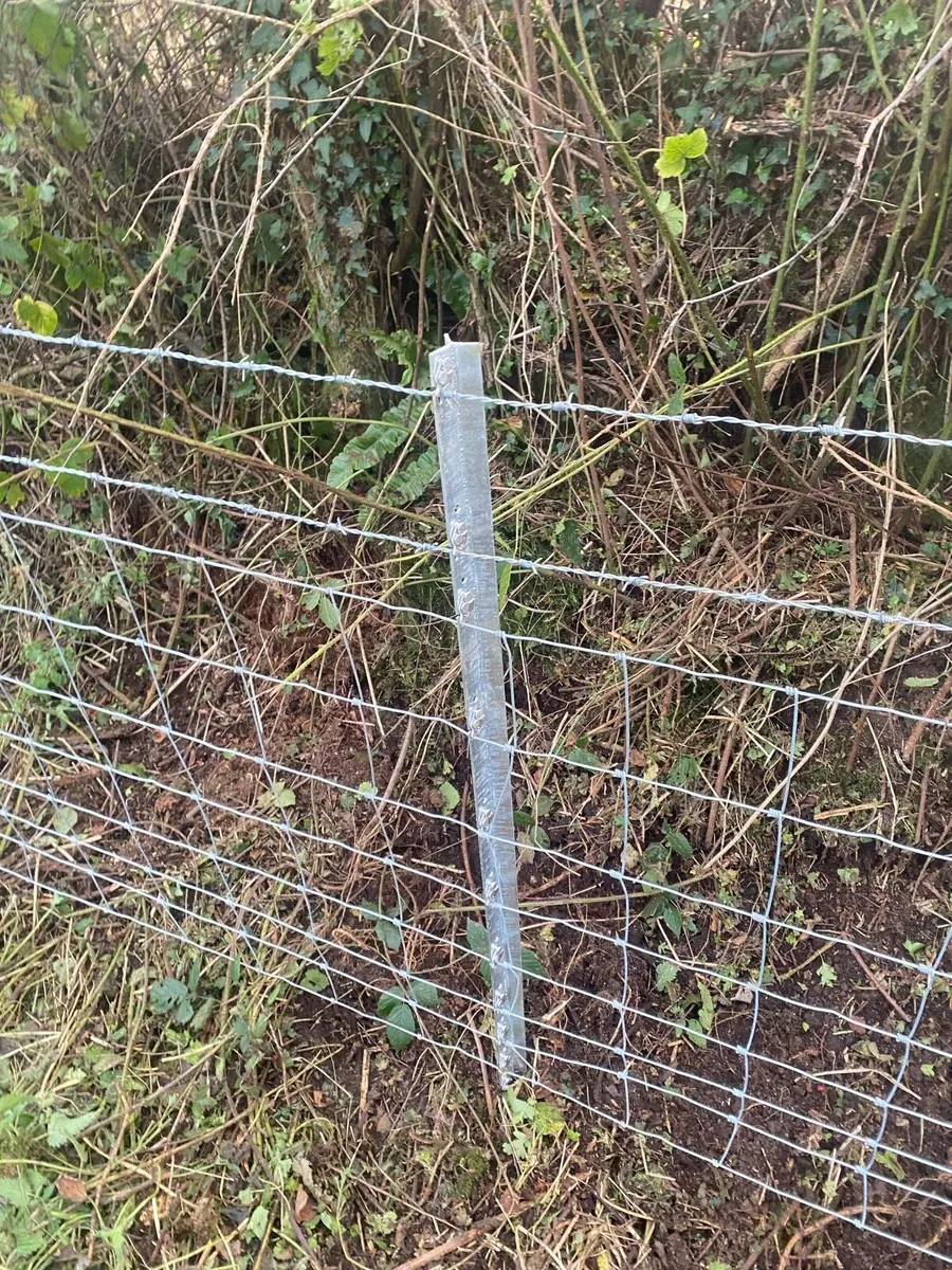 Clipex Fencing - Image 2