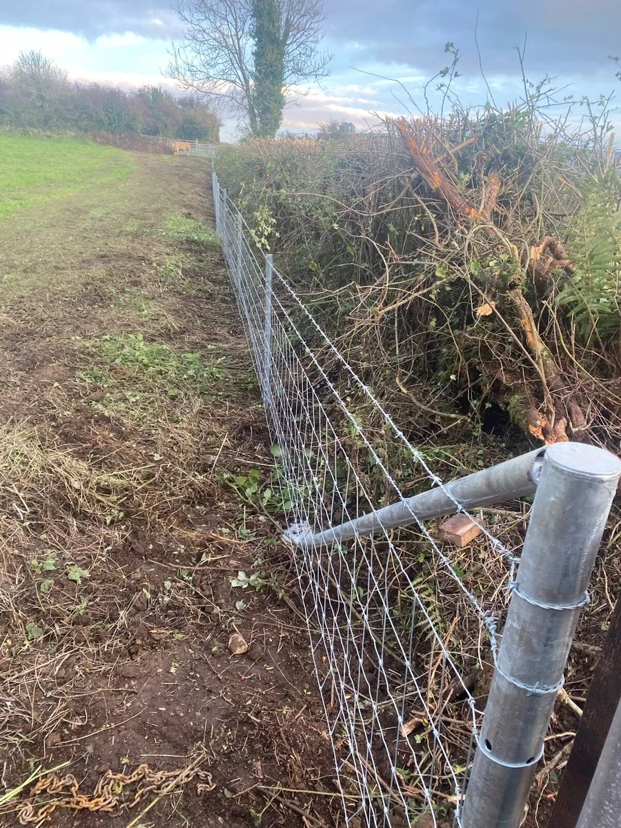 Clipex Fencing - Image 3