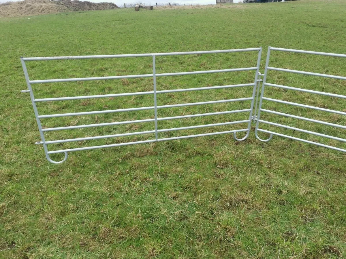 Sheep hurdles, hayracks and bucket rings. Leam - Image 3