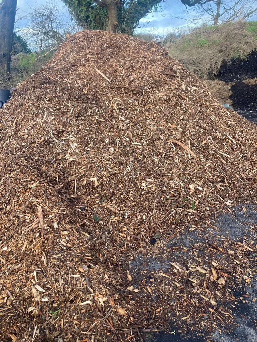 Wood chips, hard wood - Image 4