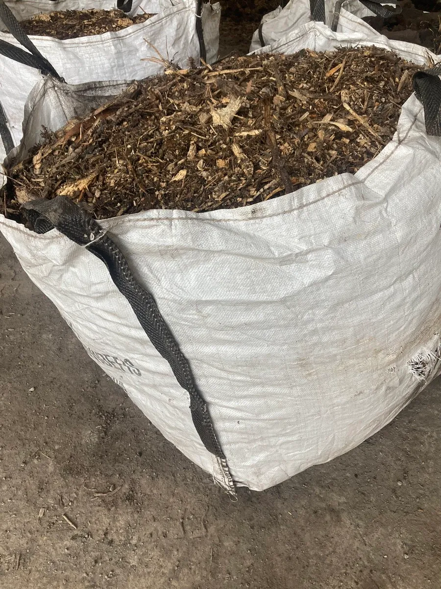 Wood chips, hard wood - Image 3