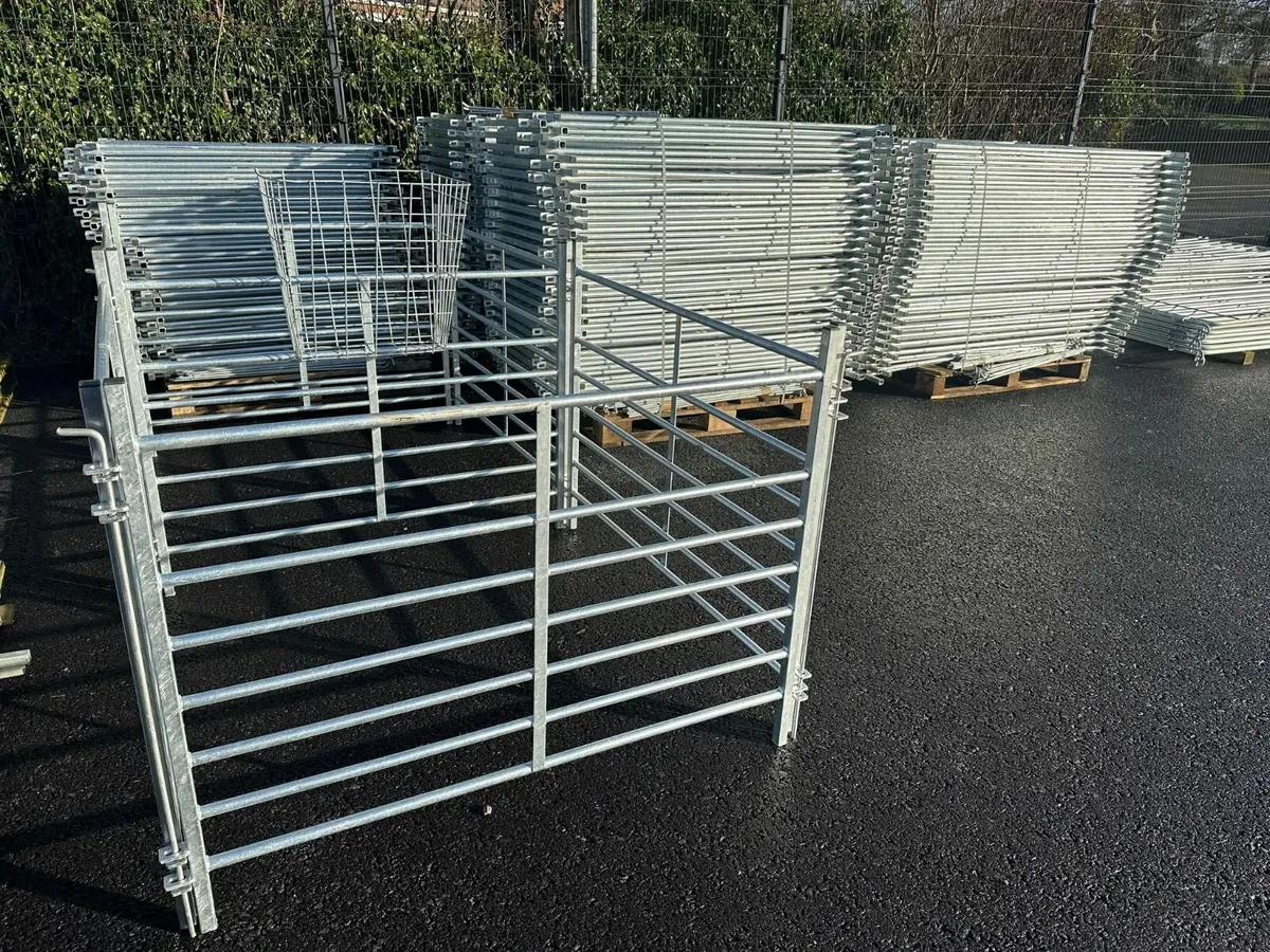 Sheep Hurdles 4ft/5ft/6ft/8ft/10ft - Image 1