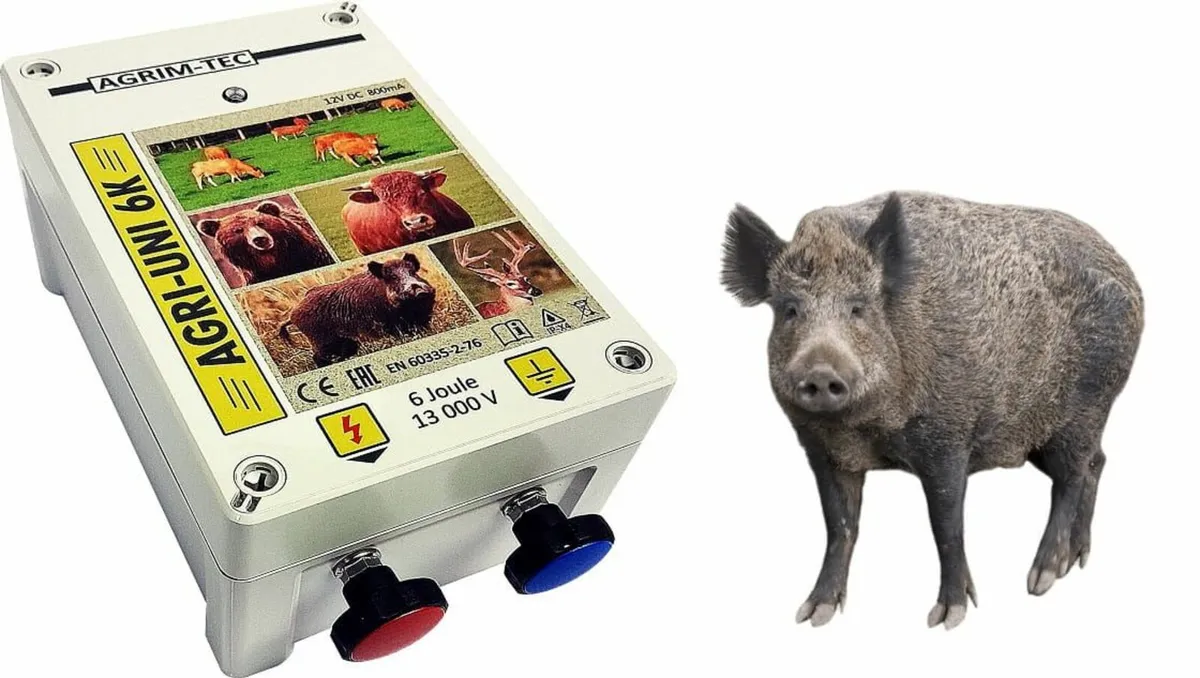 Strong Battery and Solar Fencer 13.000 Volt - Image 1