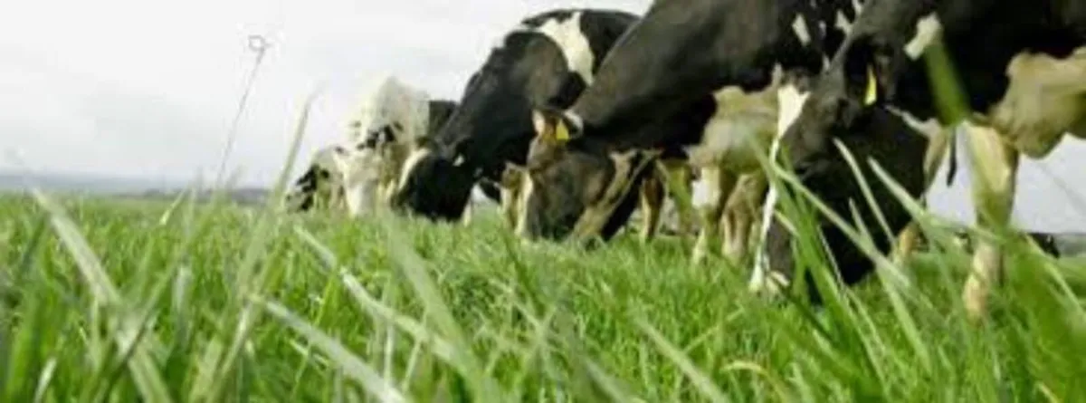 Grass Measuring & Farm Mapping - Image 4