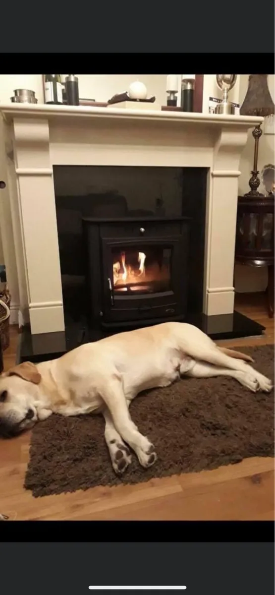 Henley Achill insert SF boilers - Image 2