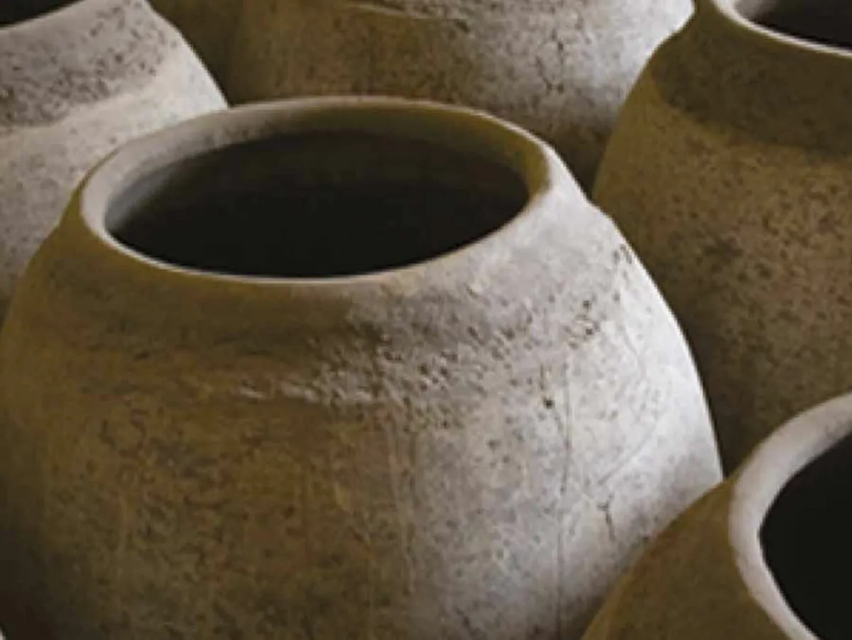 Shahi Tandoori Oven - Image 2