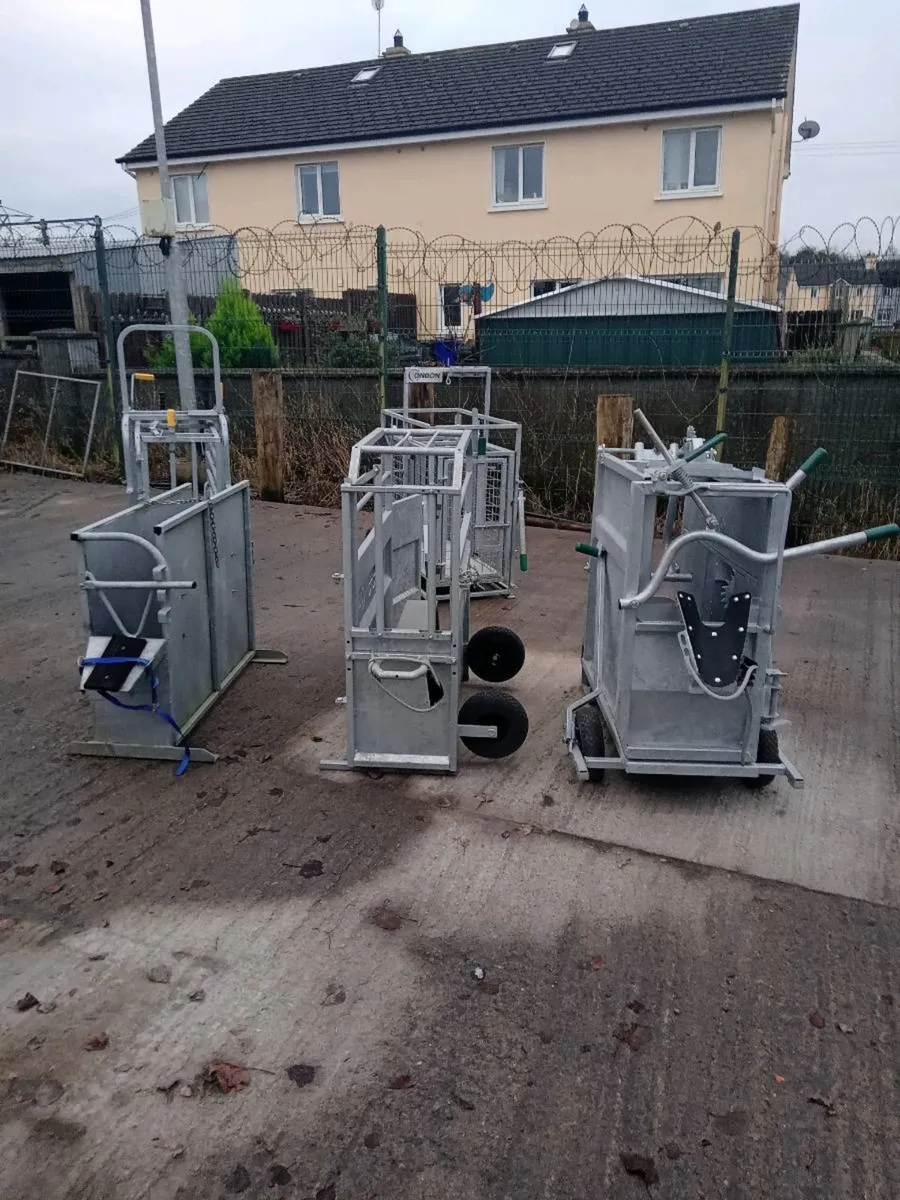 Calf Dehoring Crate - Image 1