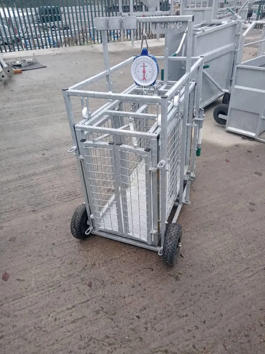 Lamb scales - Image 1