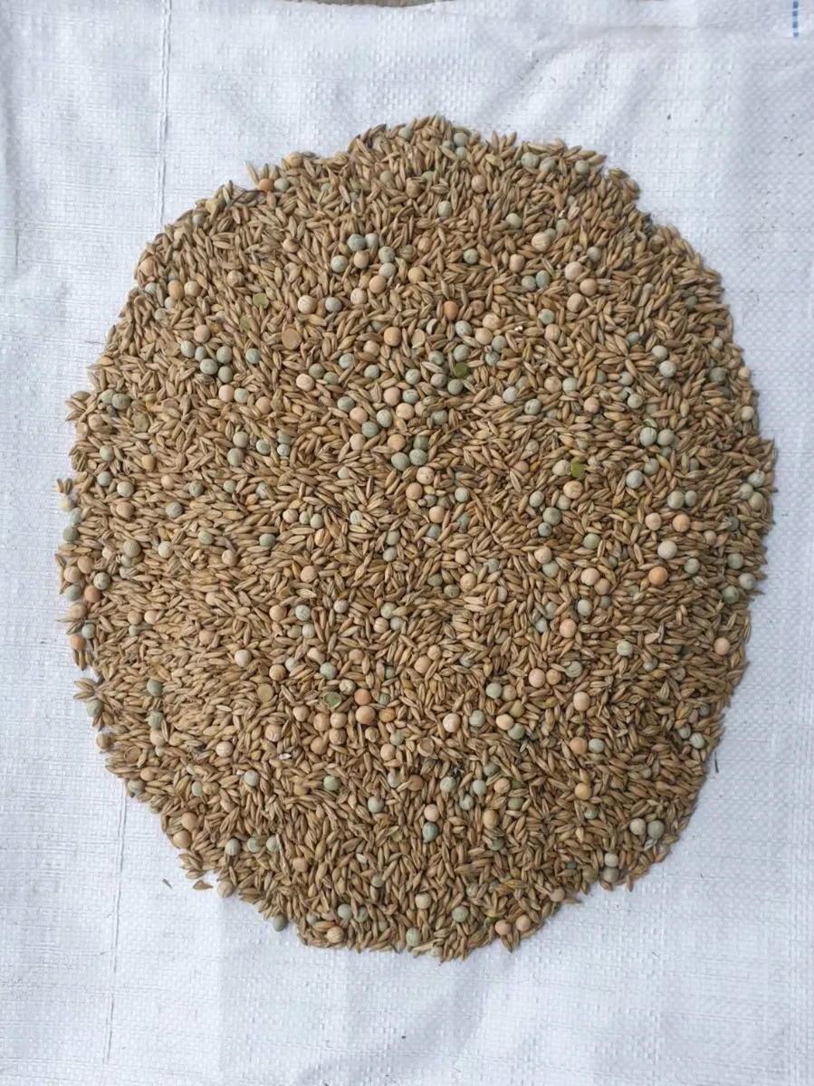 🌾 Organic Feeds 🌾 Delaney Agri Organics - Image 3