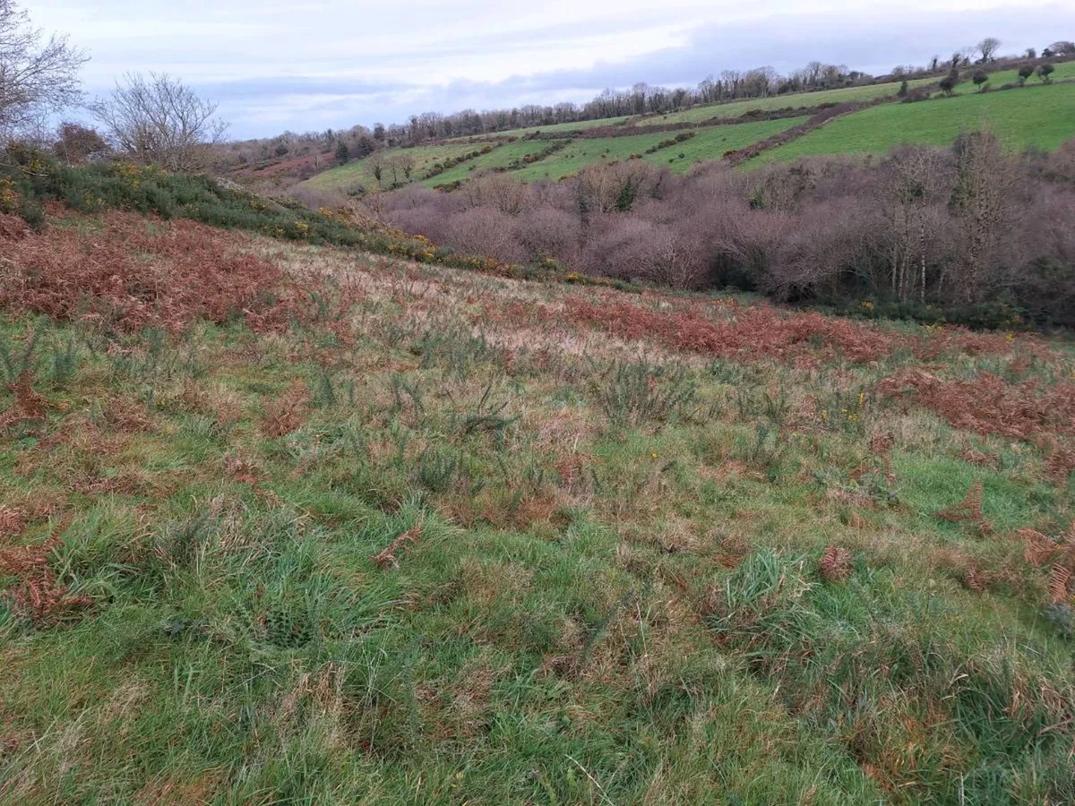 Native Tree Area Grant - Image 2