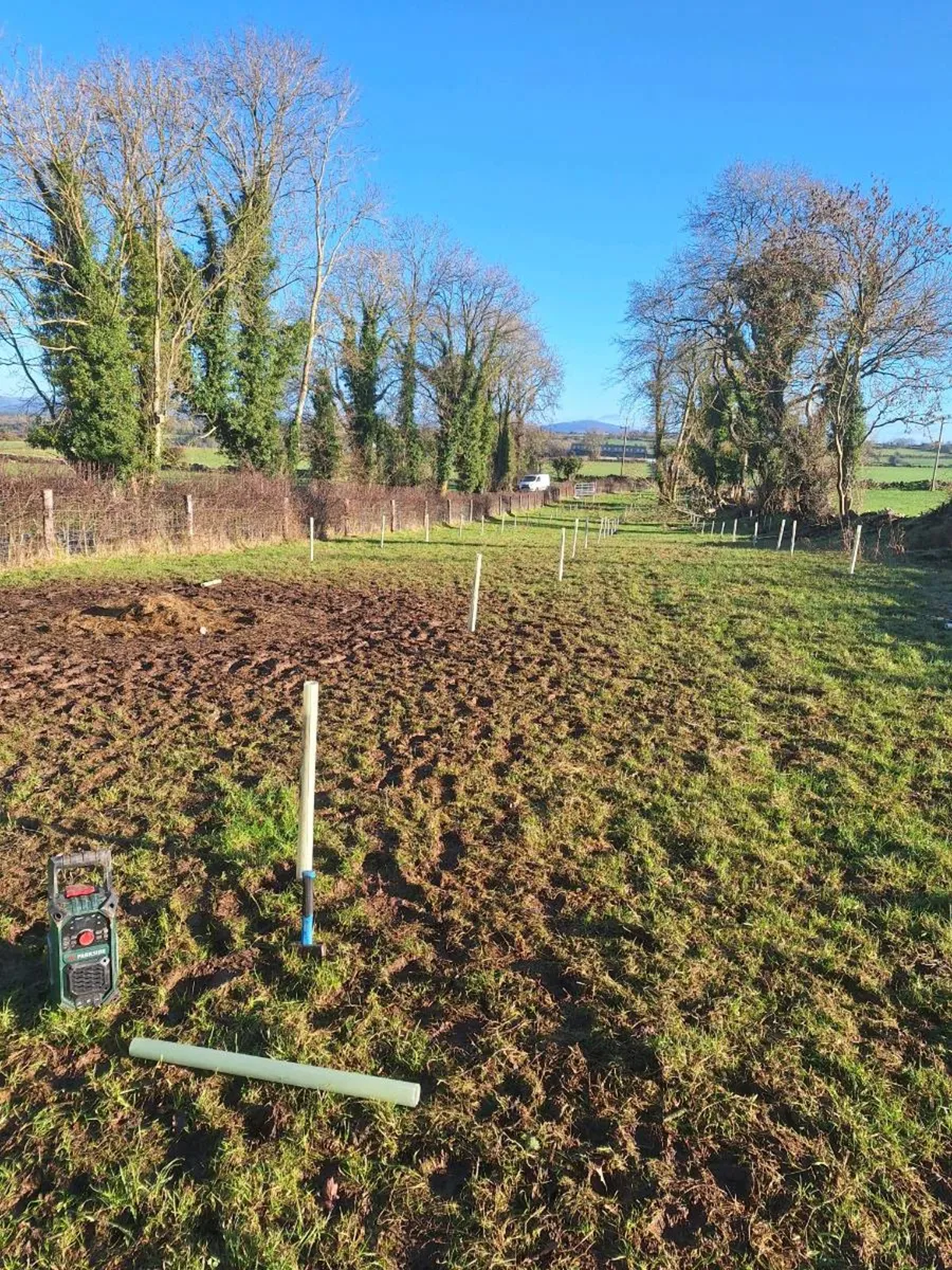 Native Tree Area Grant - Image 3