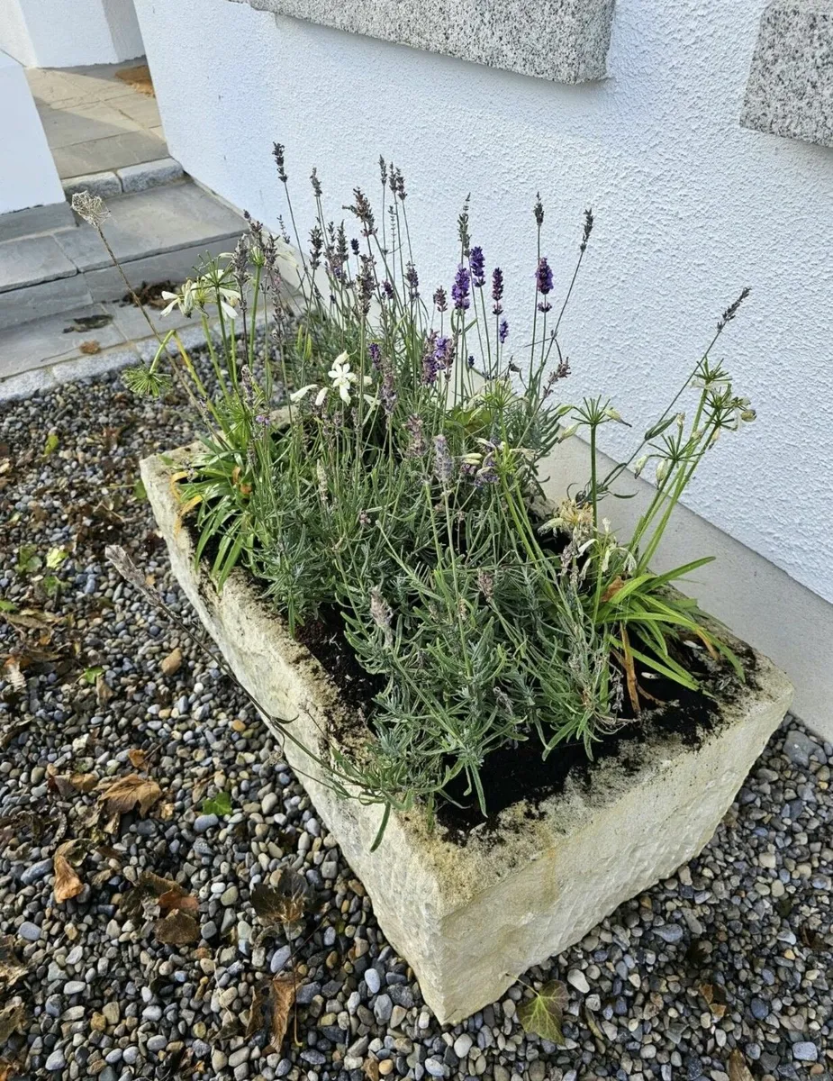 Large Sandstone Water Trough - Image 4