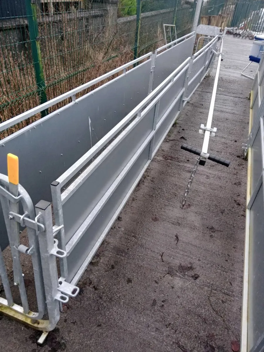 SHEEP RACE *** CHOICE*** - Image 3