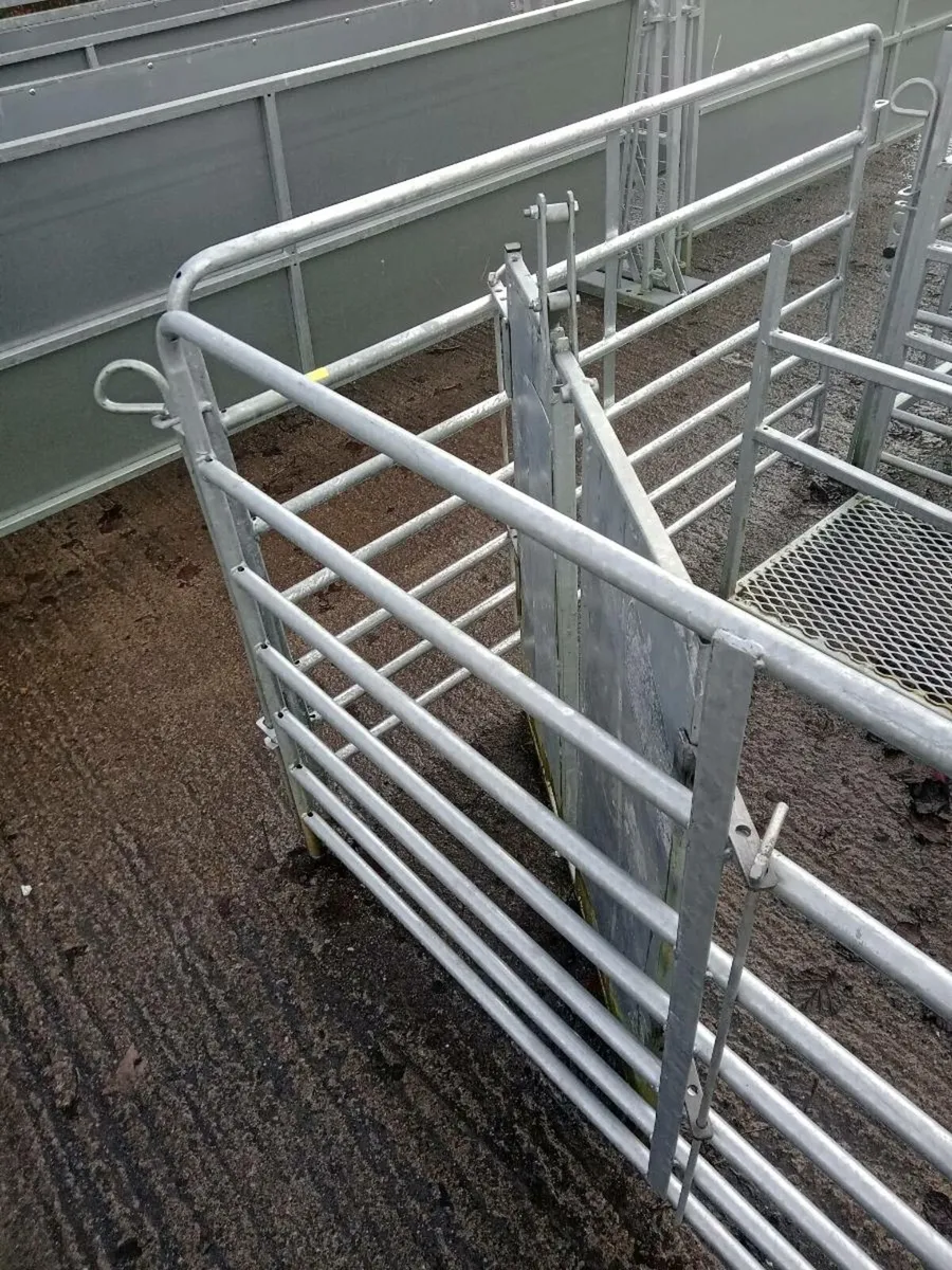 Adoption units / fronts / hurdles - Image 3