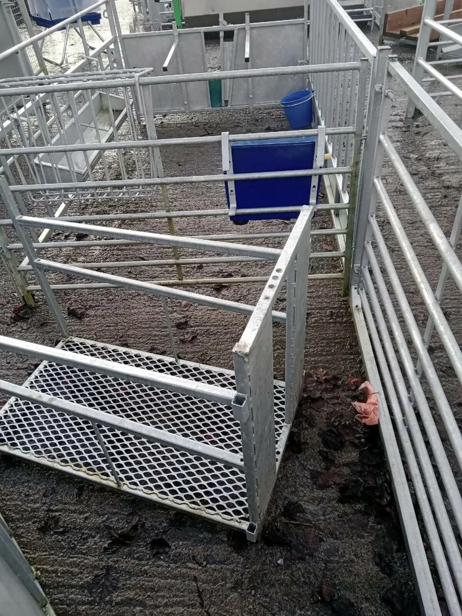 Adoption units / fronts / hurdles - Image 4