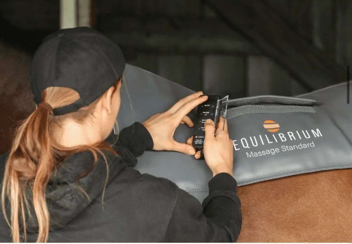 Equilibrium products full range - Image 2