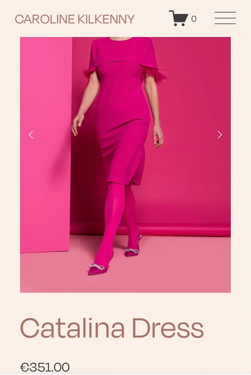 Caroline Kilkenny Collection dress - Image 1
