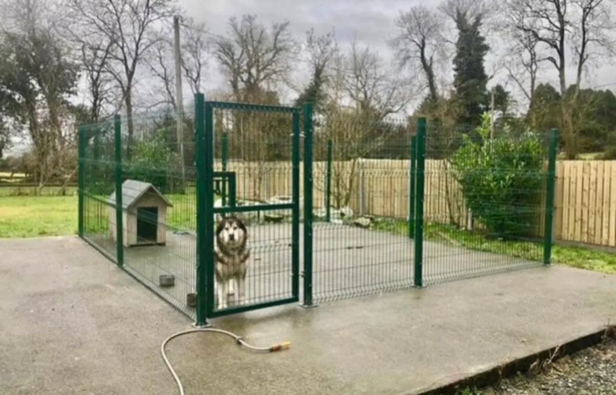 ALL IRELAND☘️CLASSY DOG RUNS.. NO VAT - Image 2