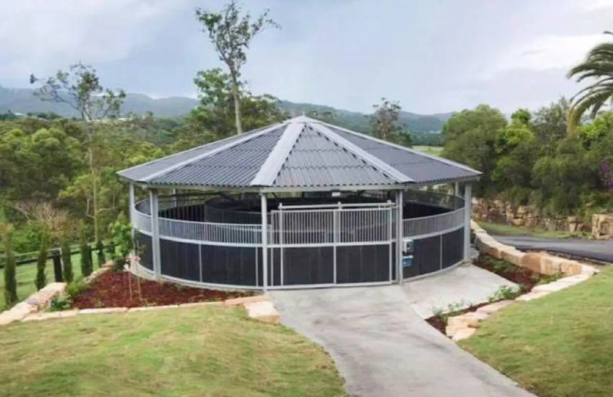 Lunge pens with or without roof - Image 1