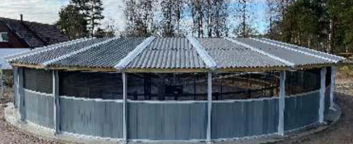 Lunge pens with or without roof - Image 3