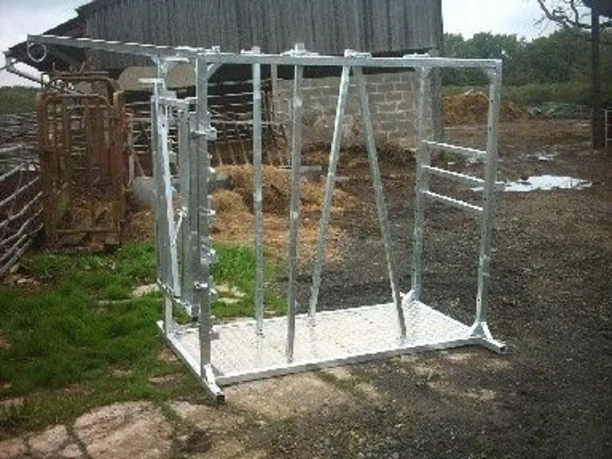 Clipping crush. Show cattle crush - Image 2