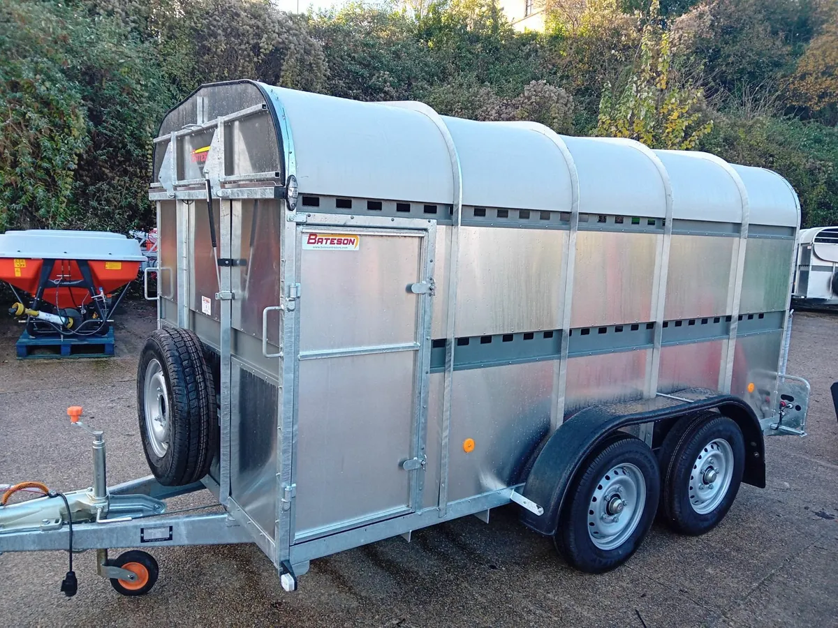 Bateson Cattle Box - Image 4