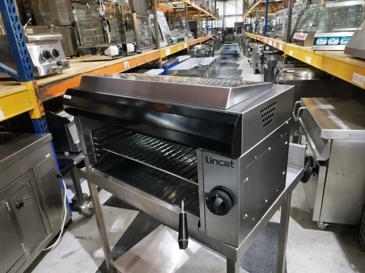 Lincat salamanda - Image 2