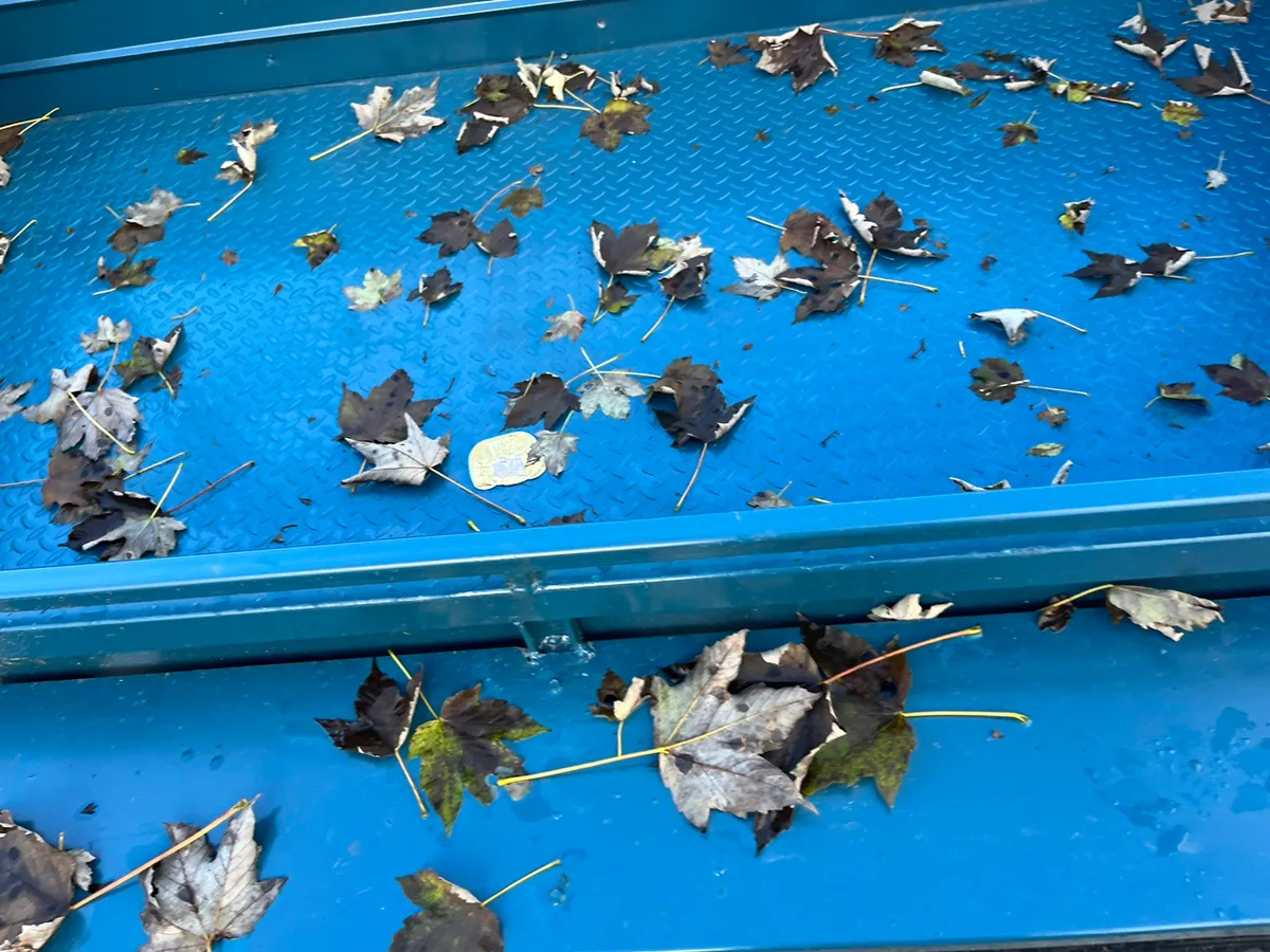 New 8ft builders trailer - Image 4