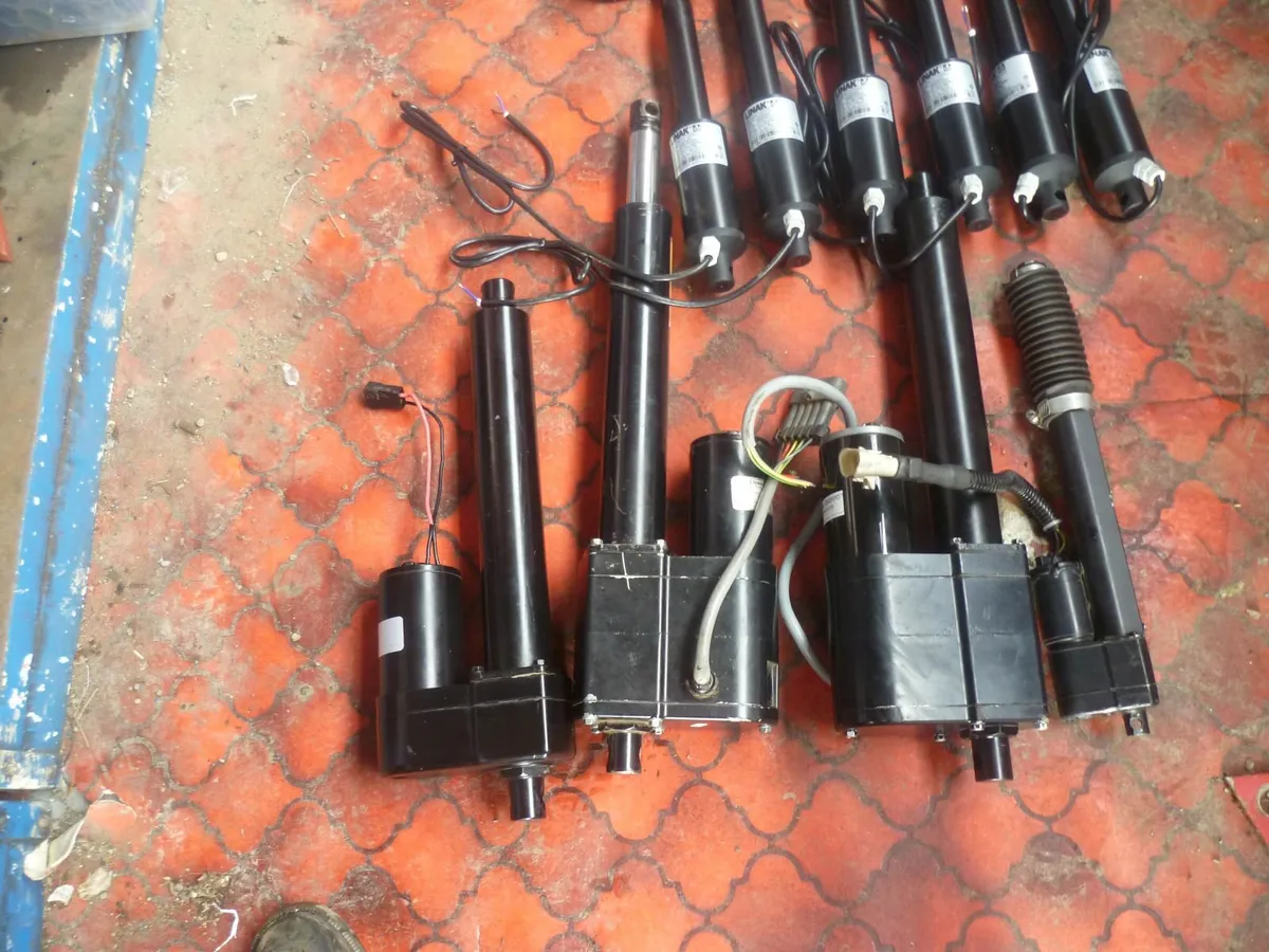 Electric Rams - Image 3