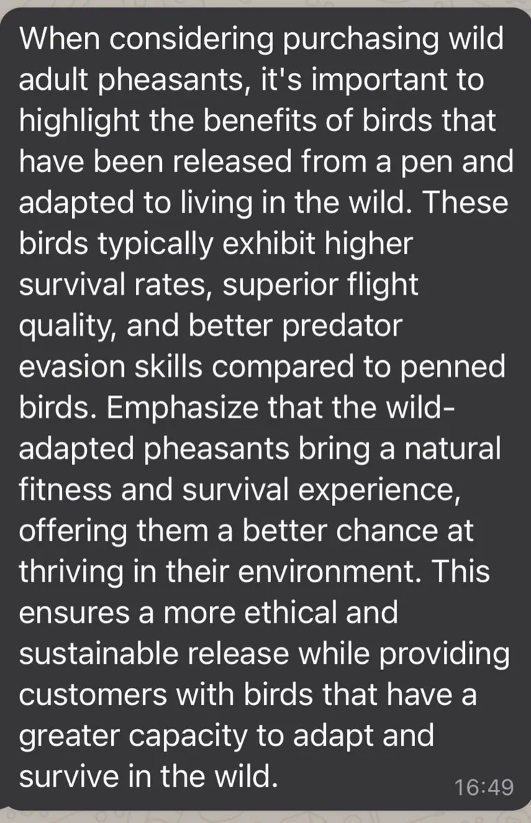 Wild pheasants 🌾🌿 - Image 2