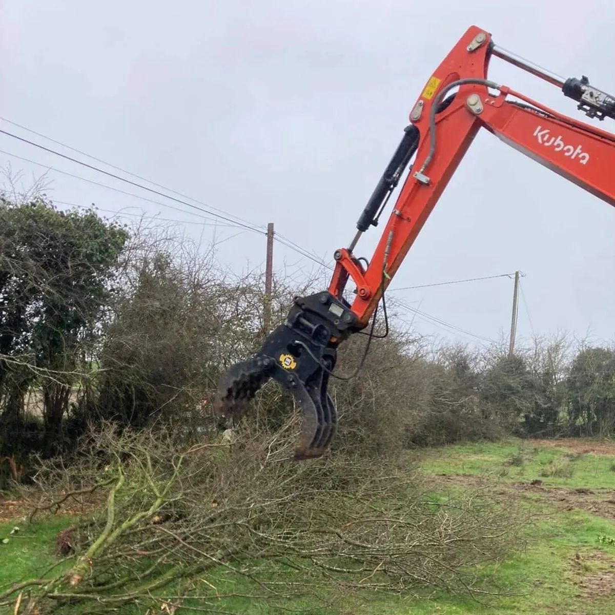 Timber & multipurpose Grabs - Image 2