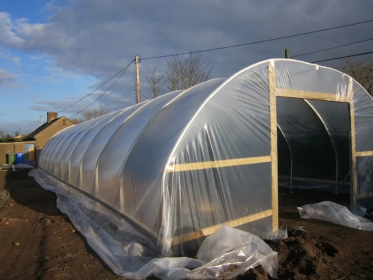 Commercial Polytunnels 23ft wide - Image 3