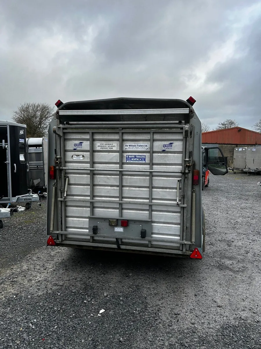 Ifor Williams 12x5’10” w/decks (choice of 3) - Image 4