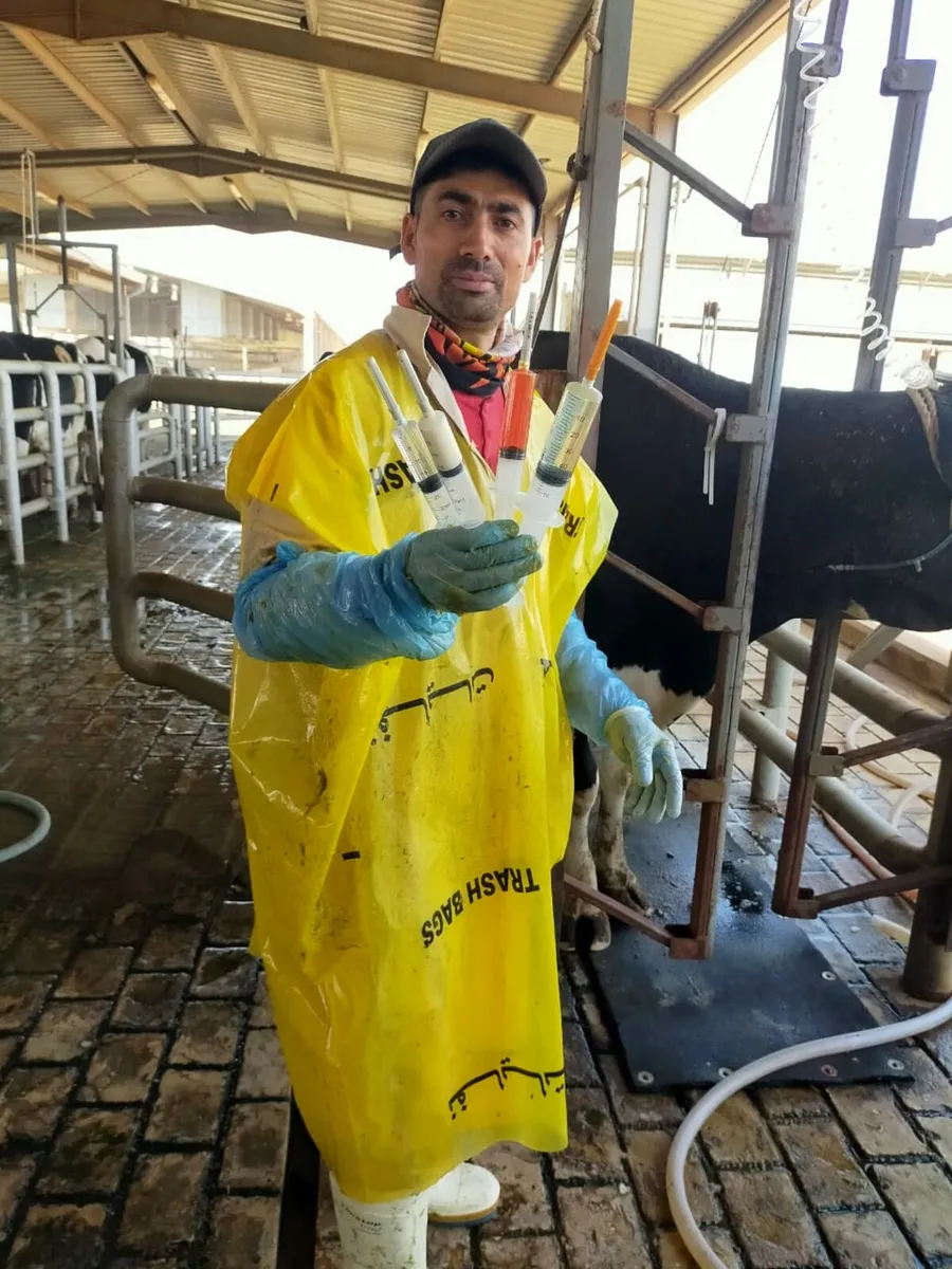 Skilled Dairy Farm Worker.s Available Nationwide - Image 1