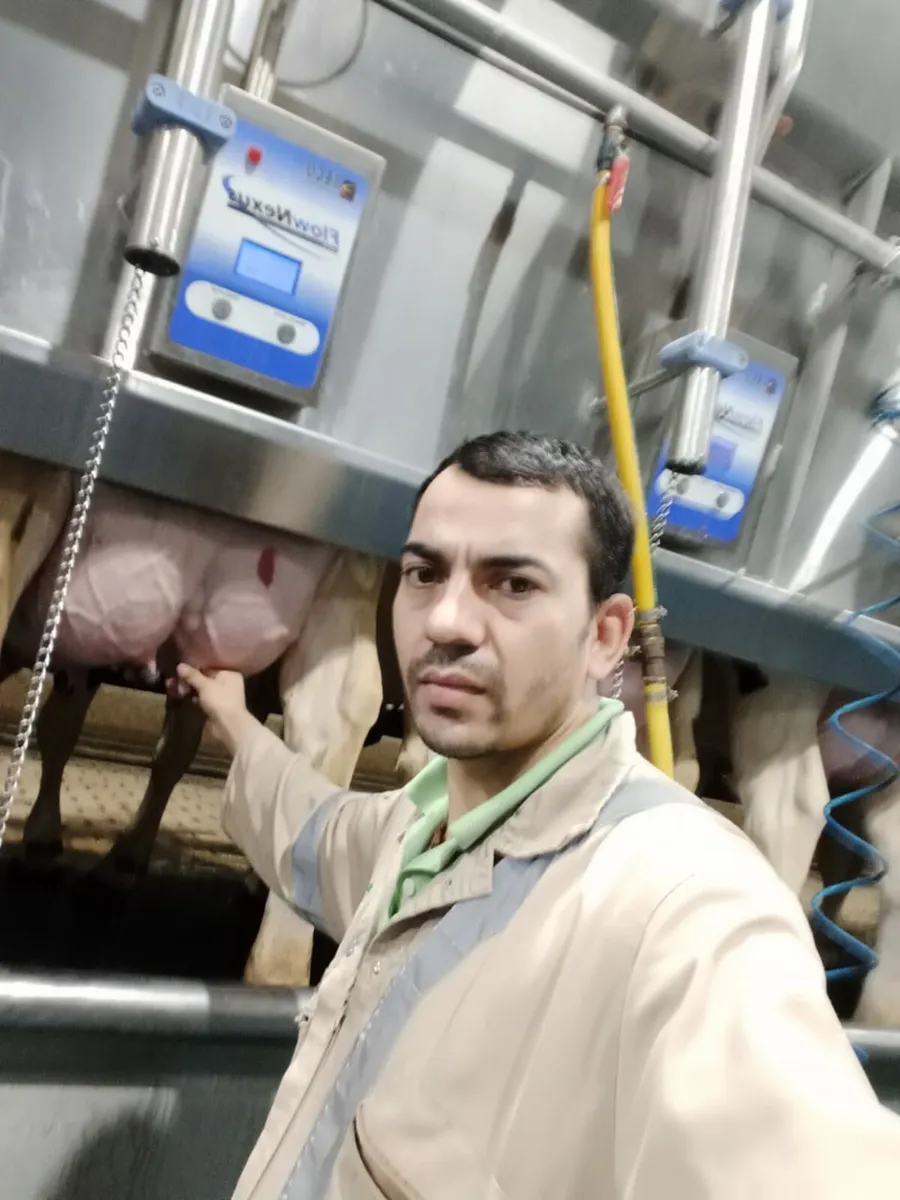 Skilled Dairy Farm Worker.s Available Nationwide - Image 2