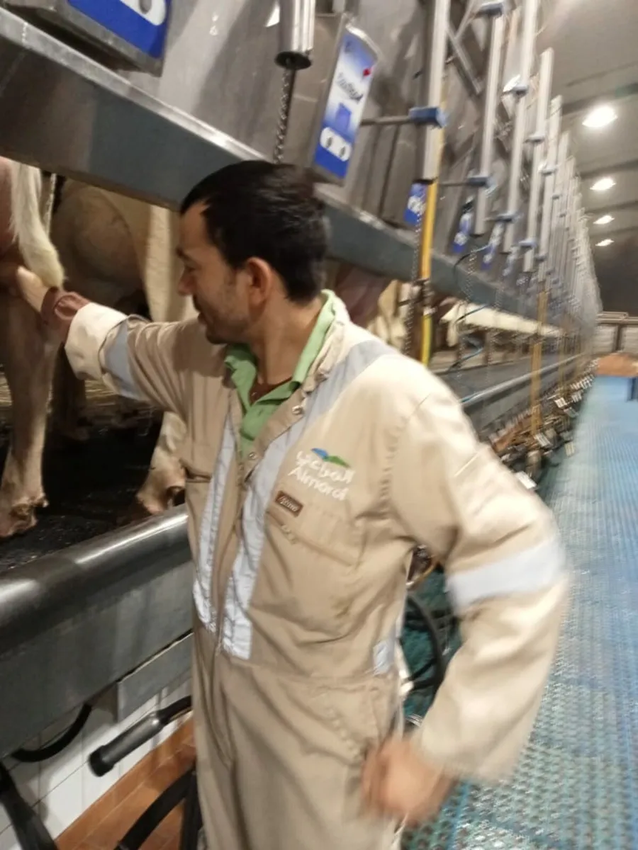 Skilled Dairy Farm Worker.s Available Nationwide - Image 4