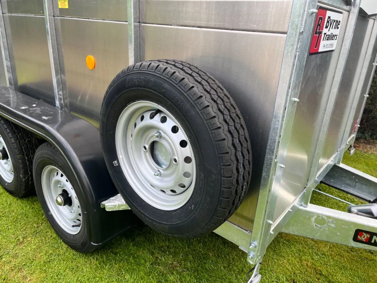 Nugent 8x5 Cattle Trailer - Image 3