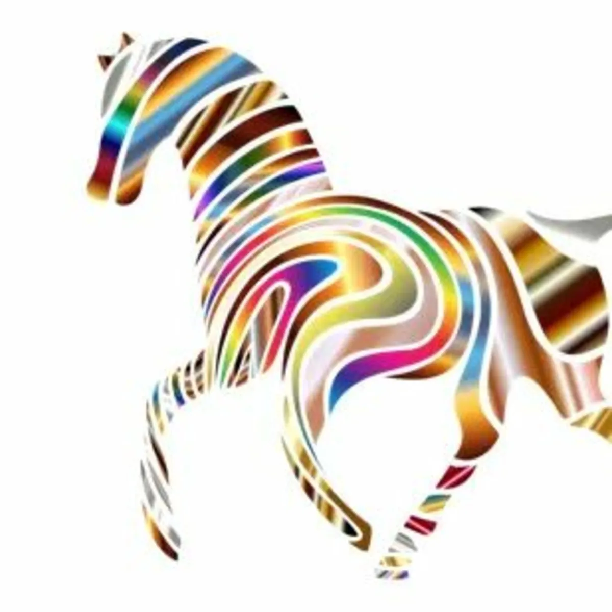 Horse Rug Wash and Repair Service - Image 3