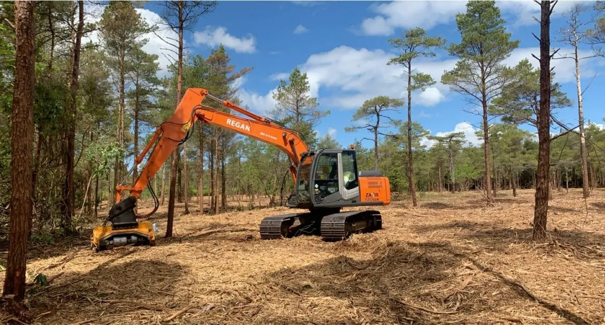 Serrat & Tifermec Mulchers flails - Image 1