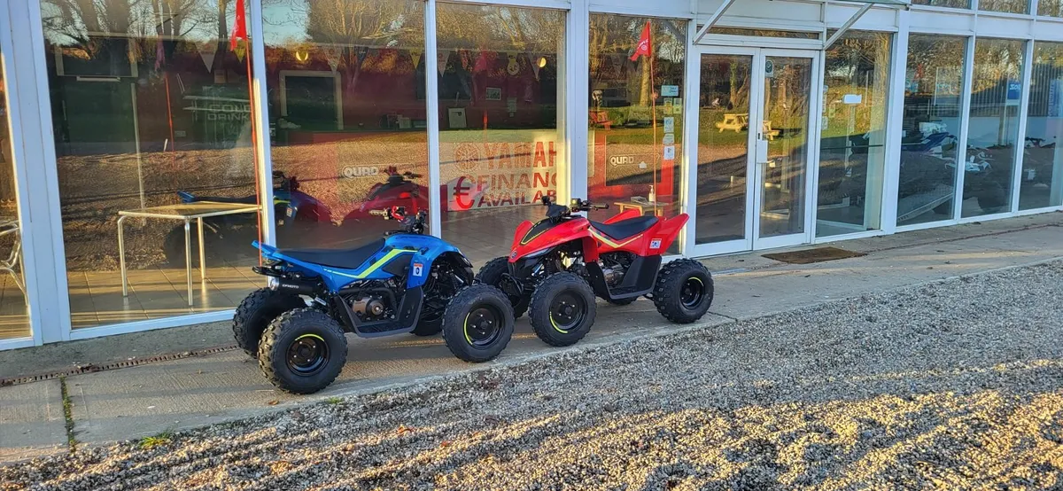 NEW 2023 CFMOTO CFORCE 110 - Image 2