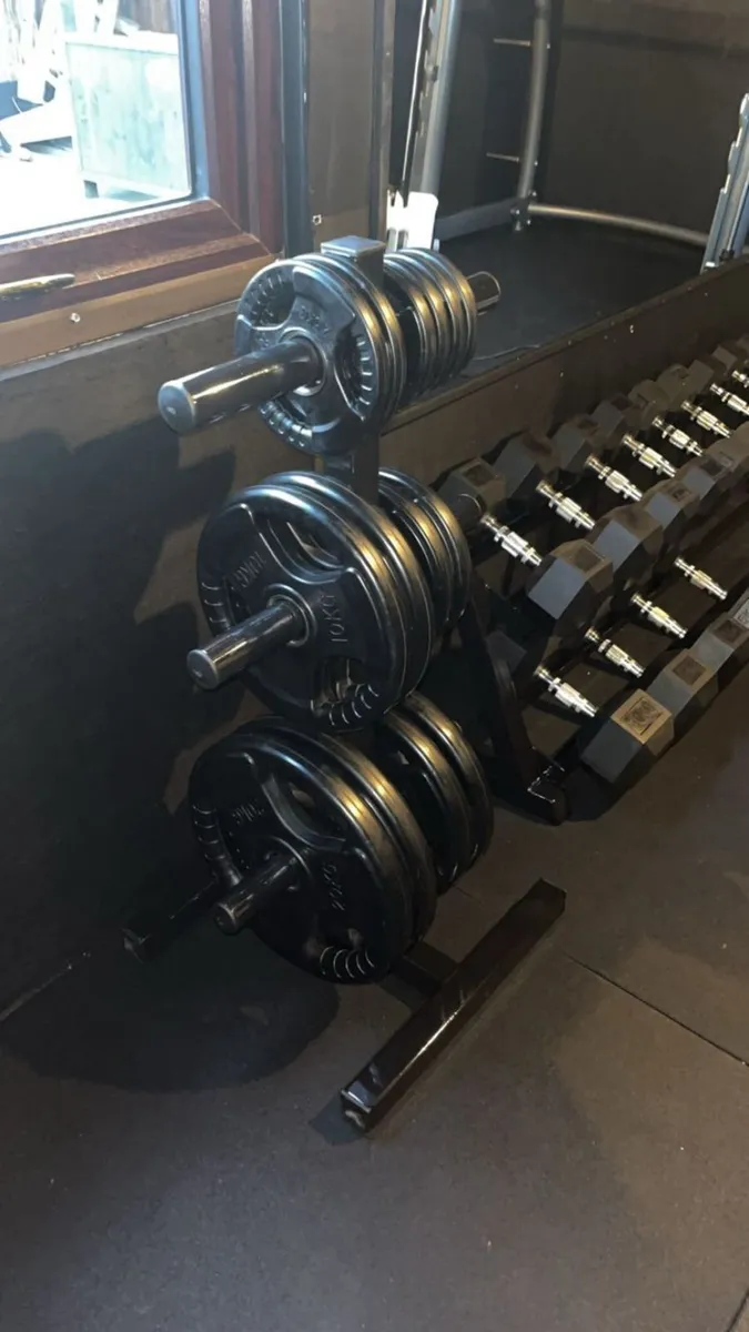 Olympic Weight Plate Holder - Image 1